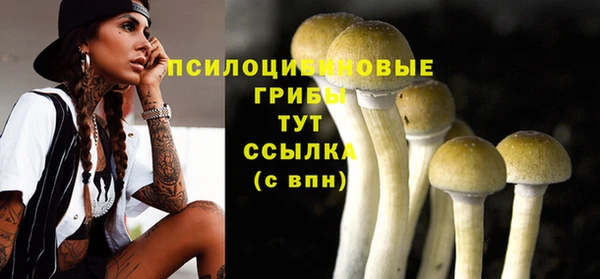 мяу мяу кристалл Лихославль