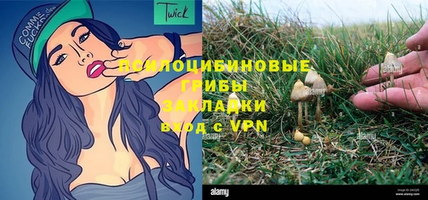 тгк Лиски