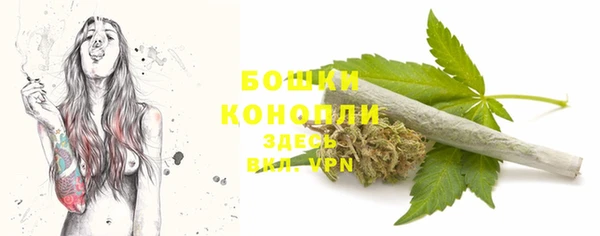 тгк Лиски