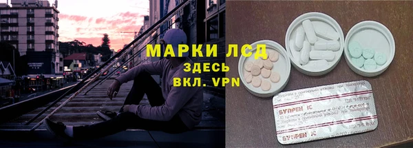 spice Липки