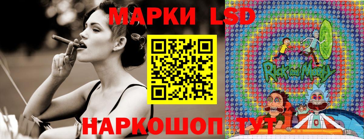 Альфа ПВП Кандалакша