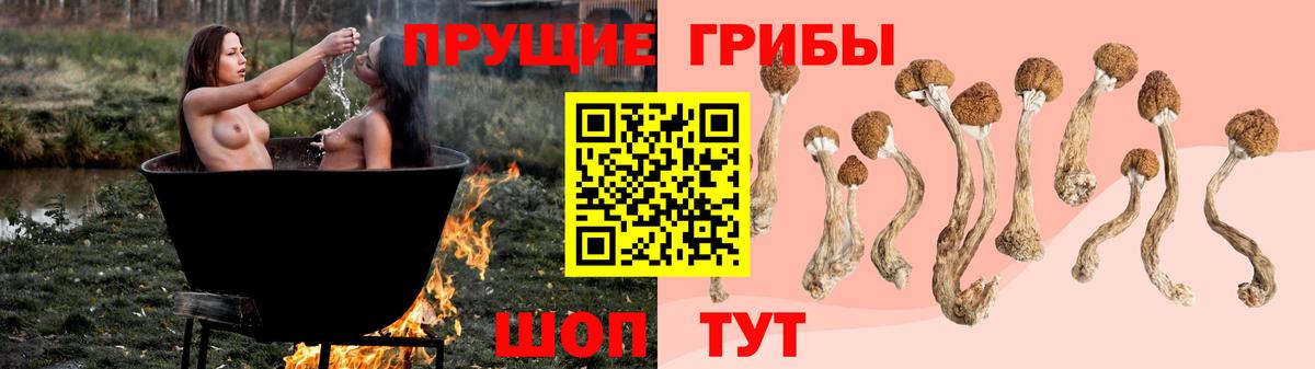 Псилоцибиновые грибы Psilocybe  купить наркотики цена  Кандалакша  Вход с VPN 